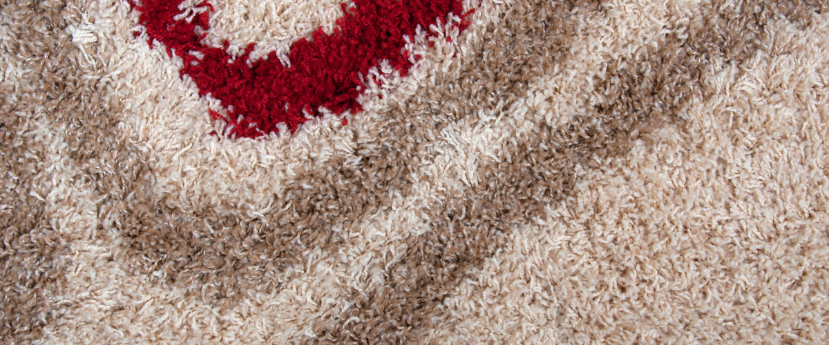 Carpet Cleaning Methods and Their Price Variations