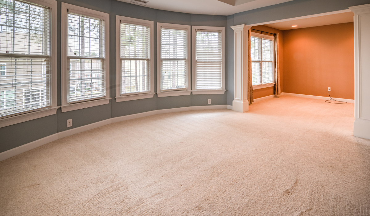 How often should I have my carpets professionally cleaned in Tarragindi?